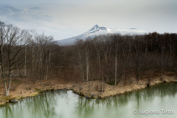 Mountain and Water by Sugiono Tirto